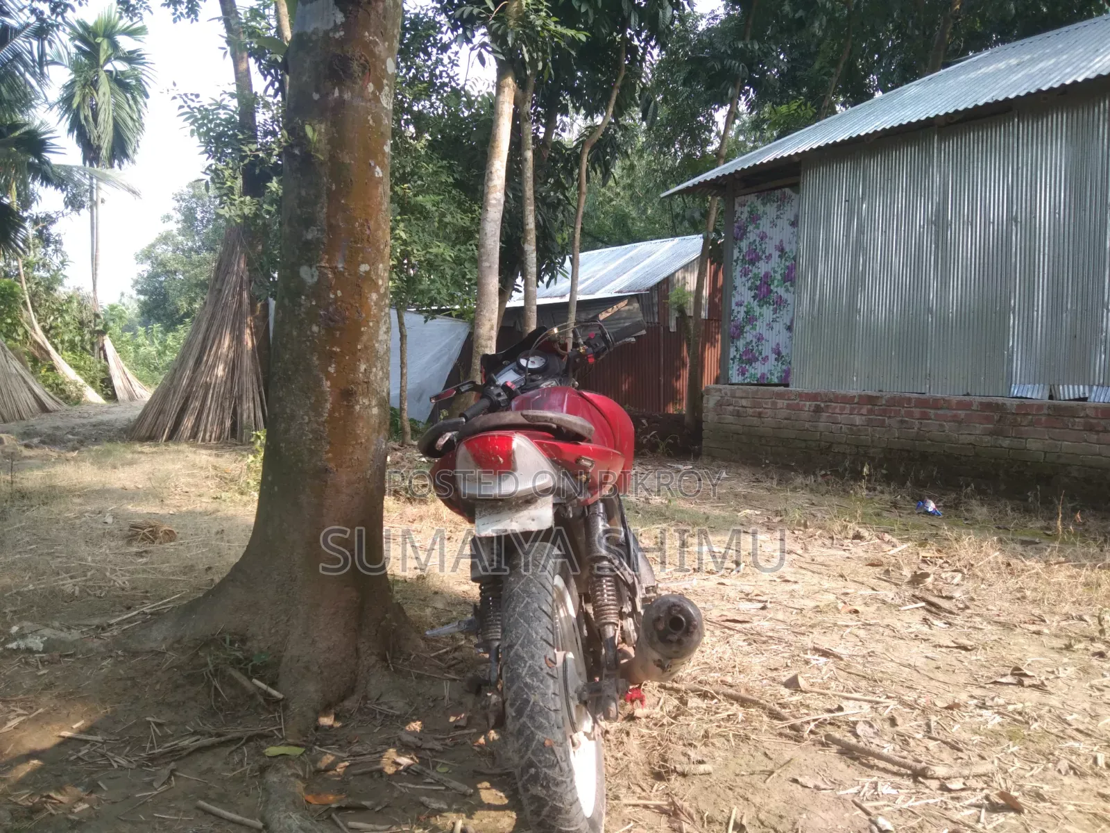 TVS Apache RTR 160 2V 2017 Red