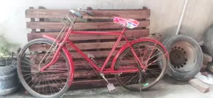 Good Condition Bicycle