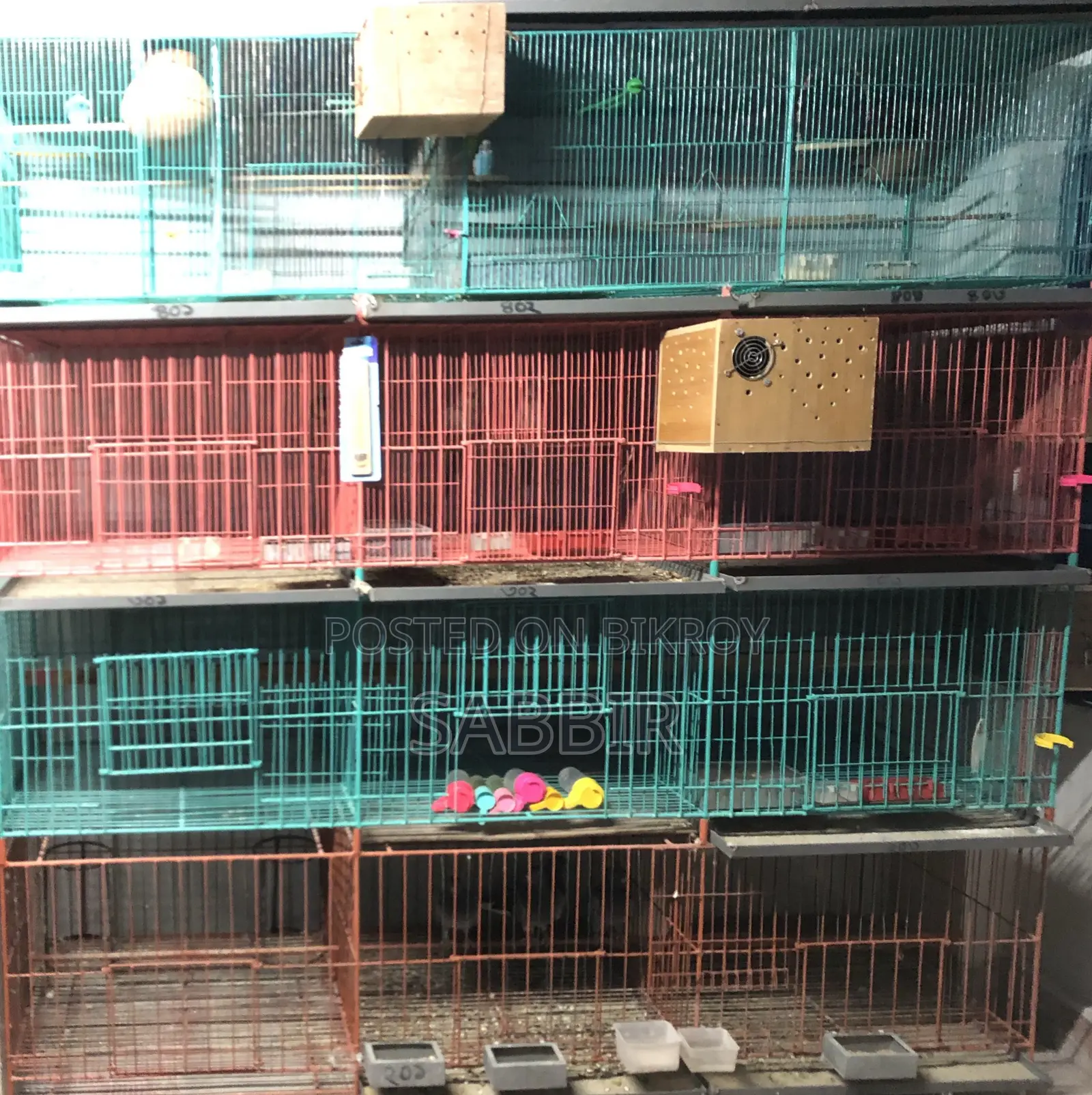 Bird/Pigeon Cage