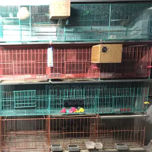 Bird/Pigeon Cage