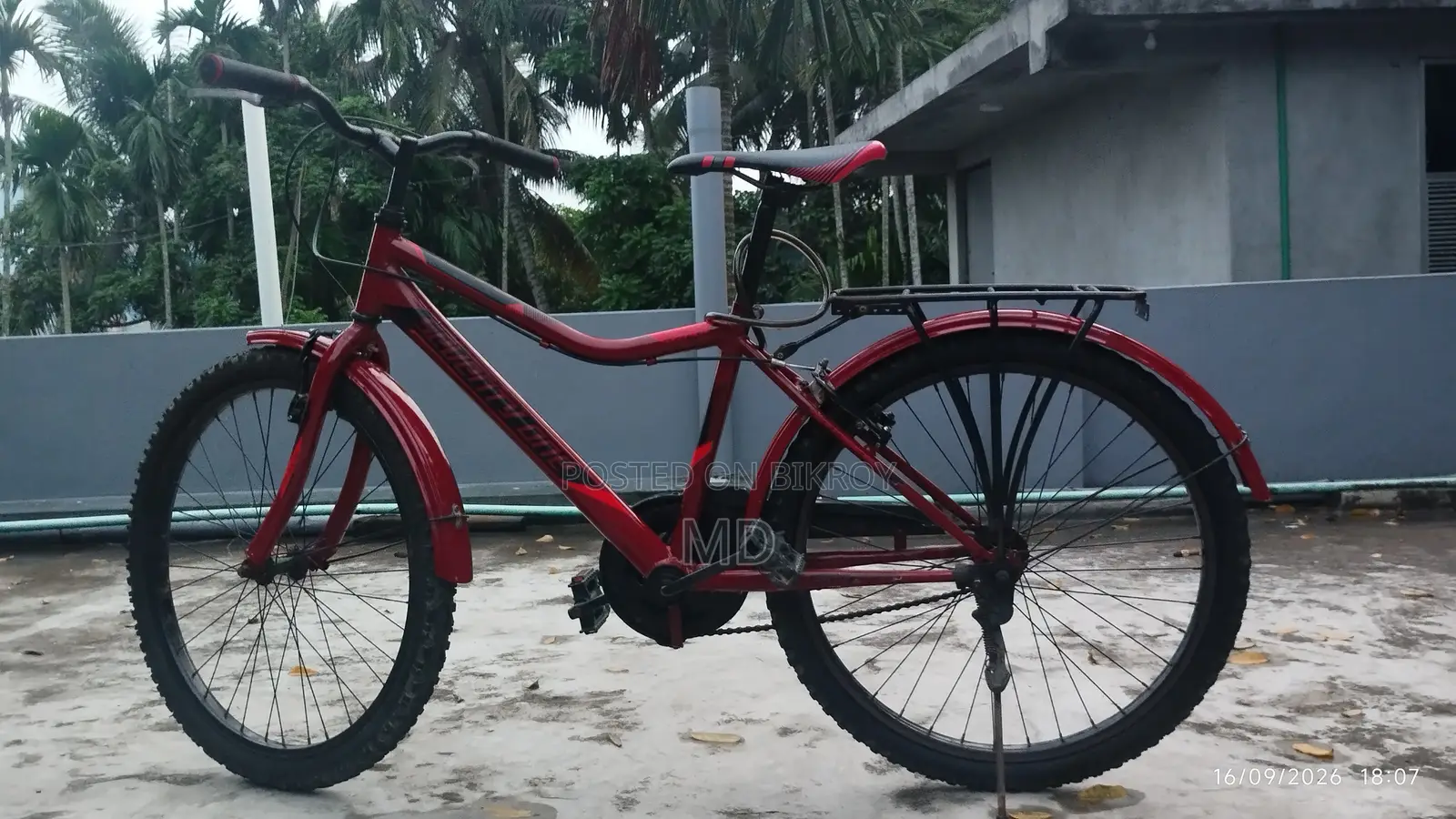 ২৪ ইঞ্চি রেস ৭১ নন-গিয়ার স্টিল বডি সাইকেল