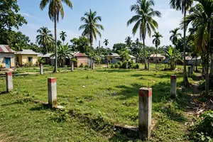 পিরোজপুর সদর এ ৫ কাঠা জমি বিক্রয় - সমস্ত কাগজপত্র ঠিক আছে