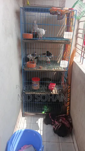 Brand New Cage, I Used It For 3 Days, Anyone Can Take It If They Want