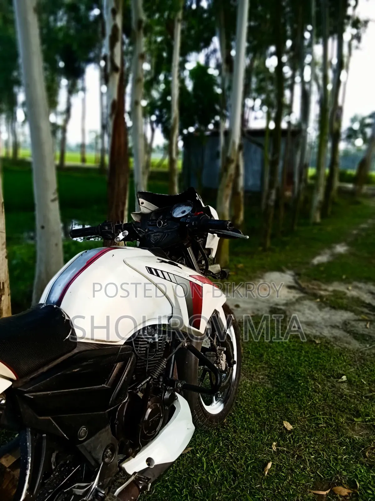 TVS Apache RTR 160 2V 2018 White