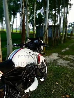 TVS Apache RTR 160 2V 2018 White