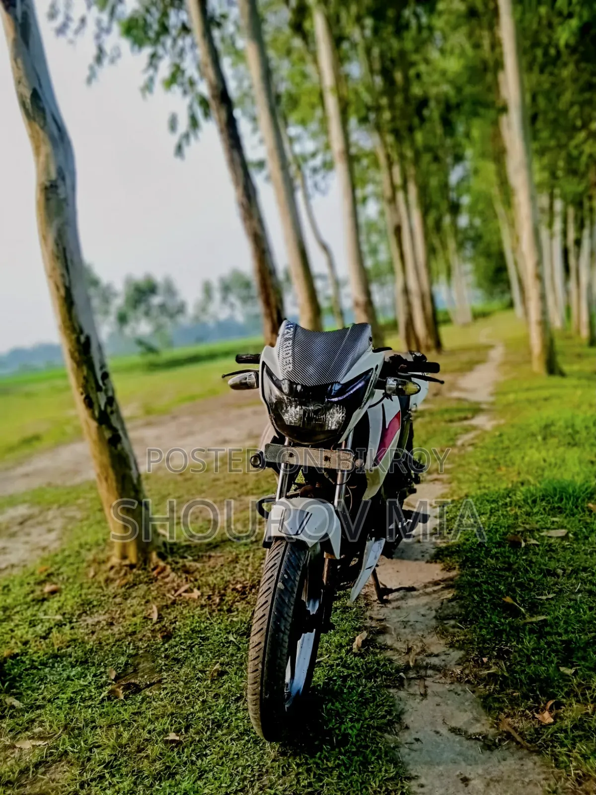 TVS Apache RTR 160 2V 2018 White