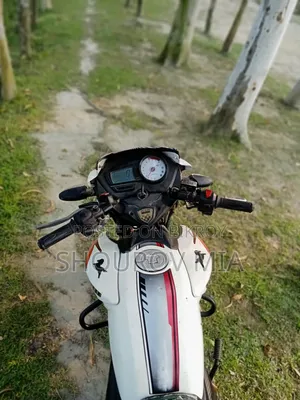 TVS Apache RTR 160 2V 2018 White
