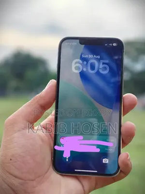 Apple iPhone 13 Pro 256 GB White