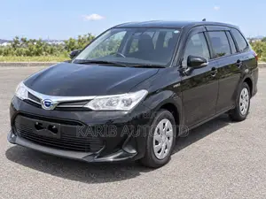 Toyota Axio 2021 Black
