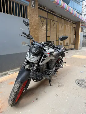 Yamaha FZS V4 2024 White