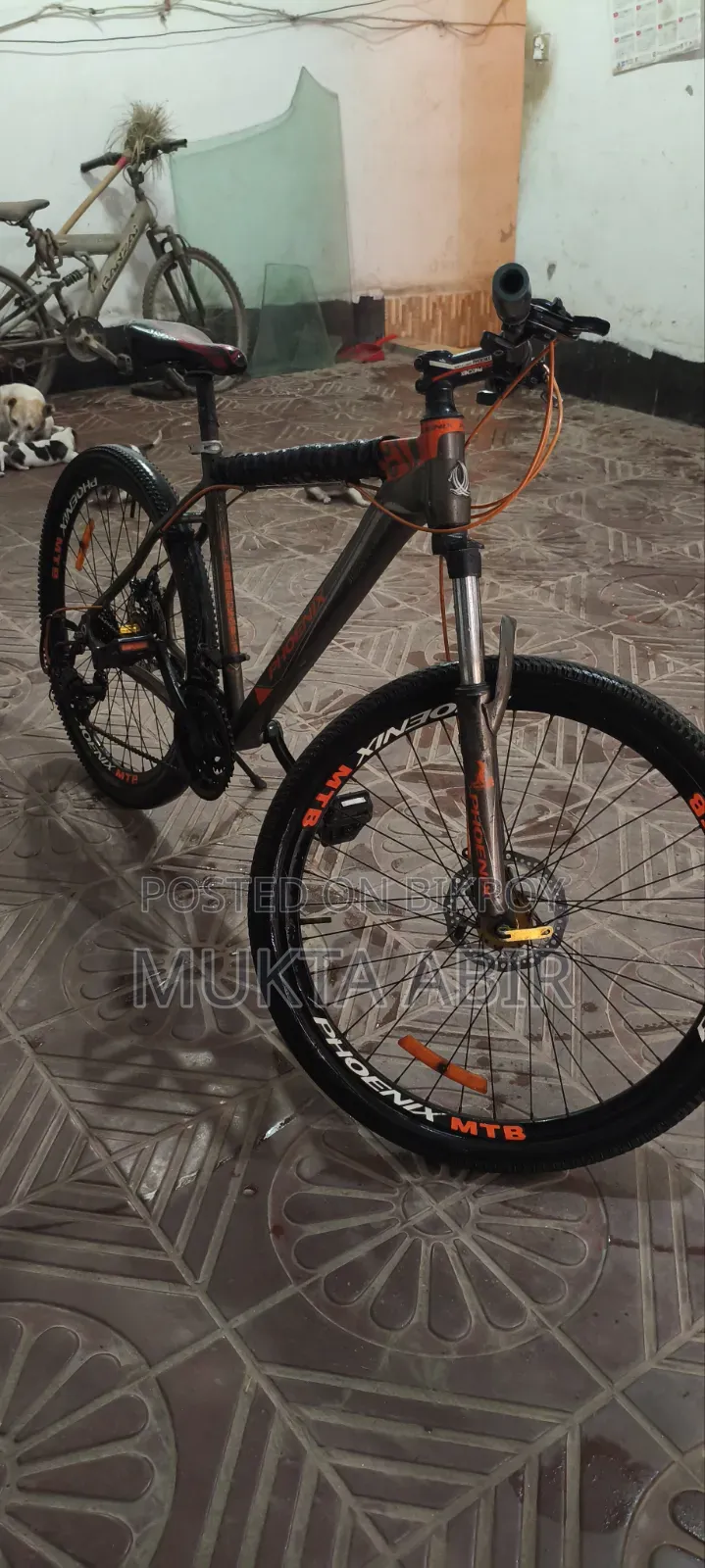 Bicycle Sale