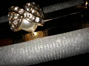 পার্টি ক্লাচ বিক্রয় করা হবে