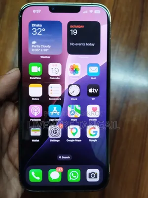 অ্যাপল আইফোন ১৩ প্রো ম্যাক্স ২৫৬ জিবি গোল্ড
