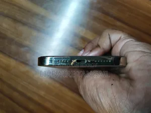 অ্যাপল আইফোন ১৩ প্রো ম্যাক্স ২৫৬ জিবি গোল্ড