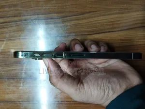 অ্যাপল আইফোন ১৩ প্রো ম্যাক্স ২৫৬ জিবি গোল্ড