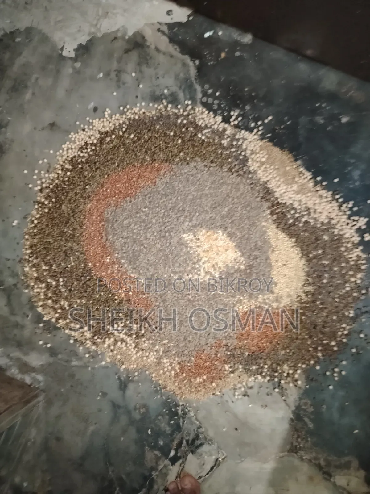 Pigeon Food