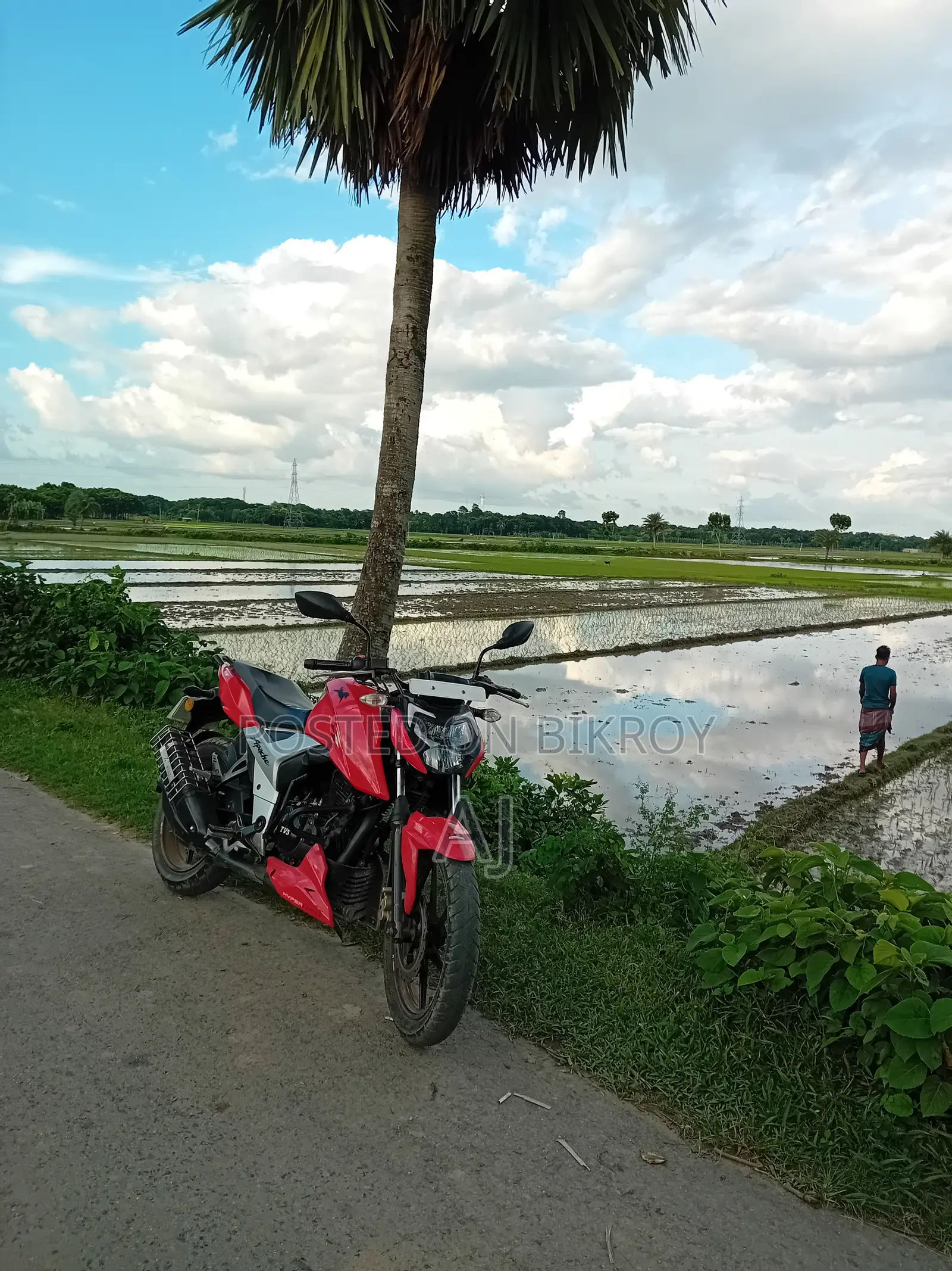 টিভিএস অ্যাপাচি ১৬০ ৪ভি ২০২২ লাল