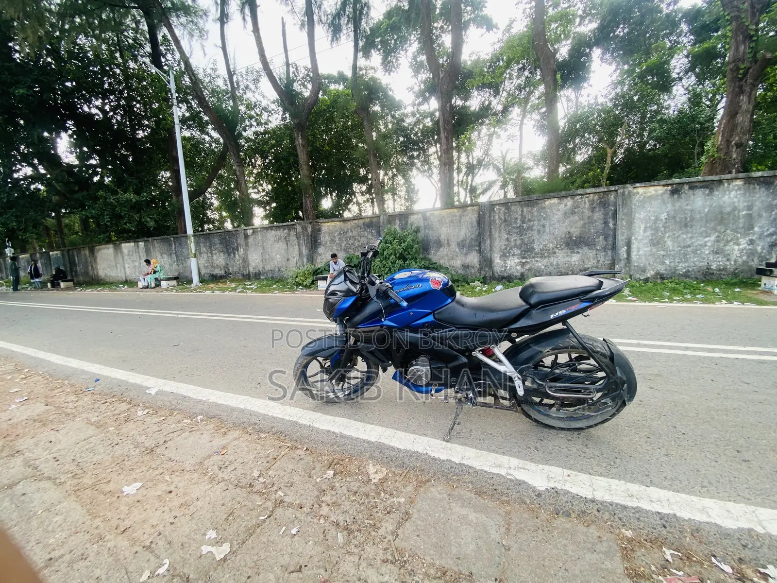 Bajaj Pulsar NS 160 2018 Blue