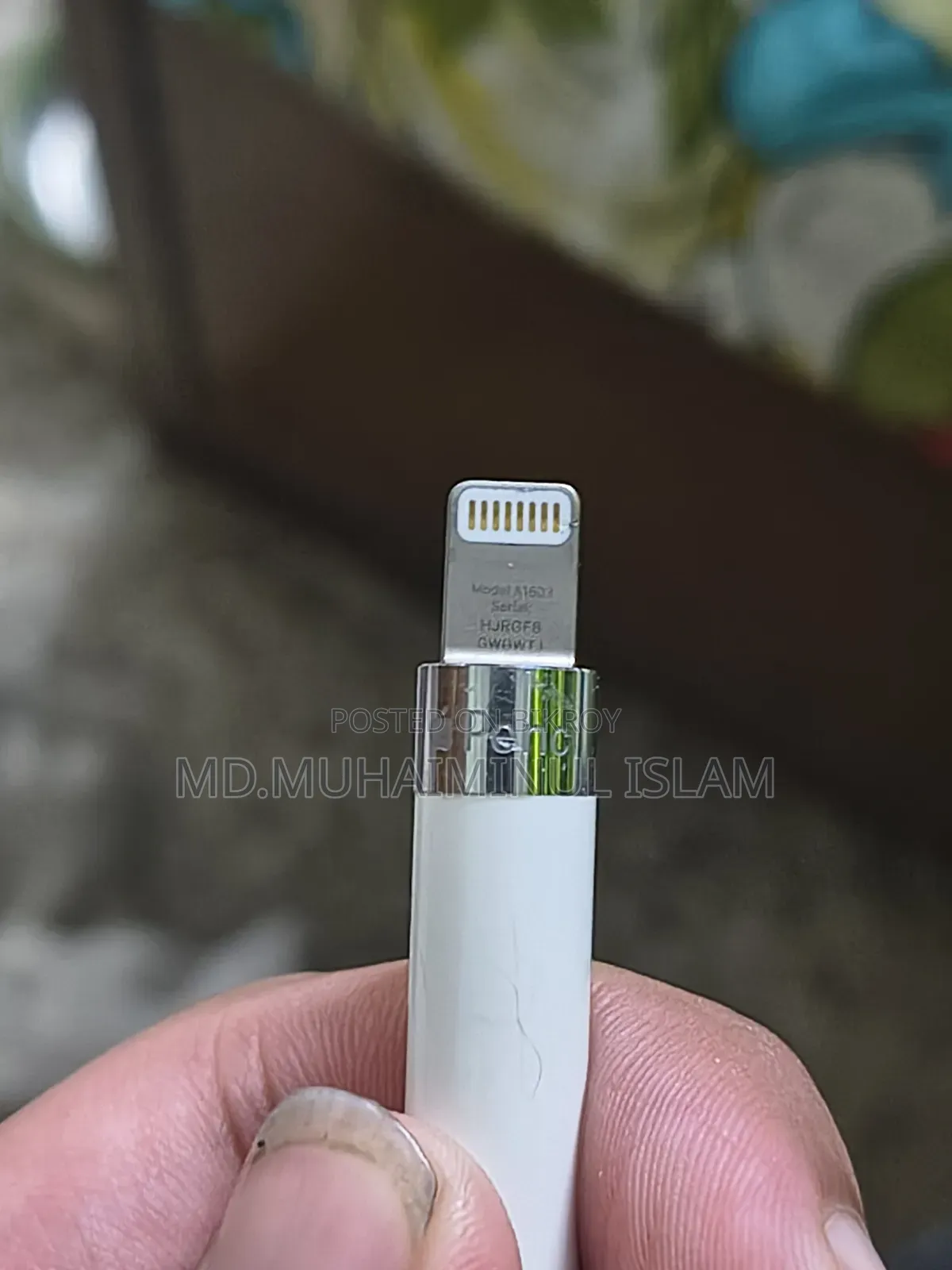 Apple Pencil First Generation With Issues