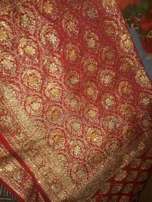 ১ বার পড়া লাল বেনারসি শাড়ি