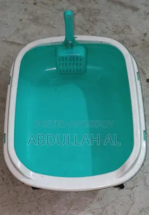Cat Litter and Litter Box