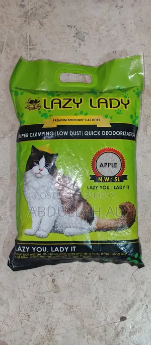 Cat Litter and Litter Box