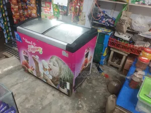 Walton Ice Cream Freezer 270L