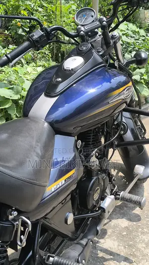 Bajaj Avenger 150 Street 2017 Blue