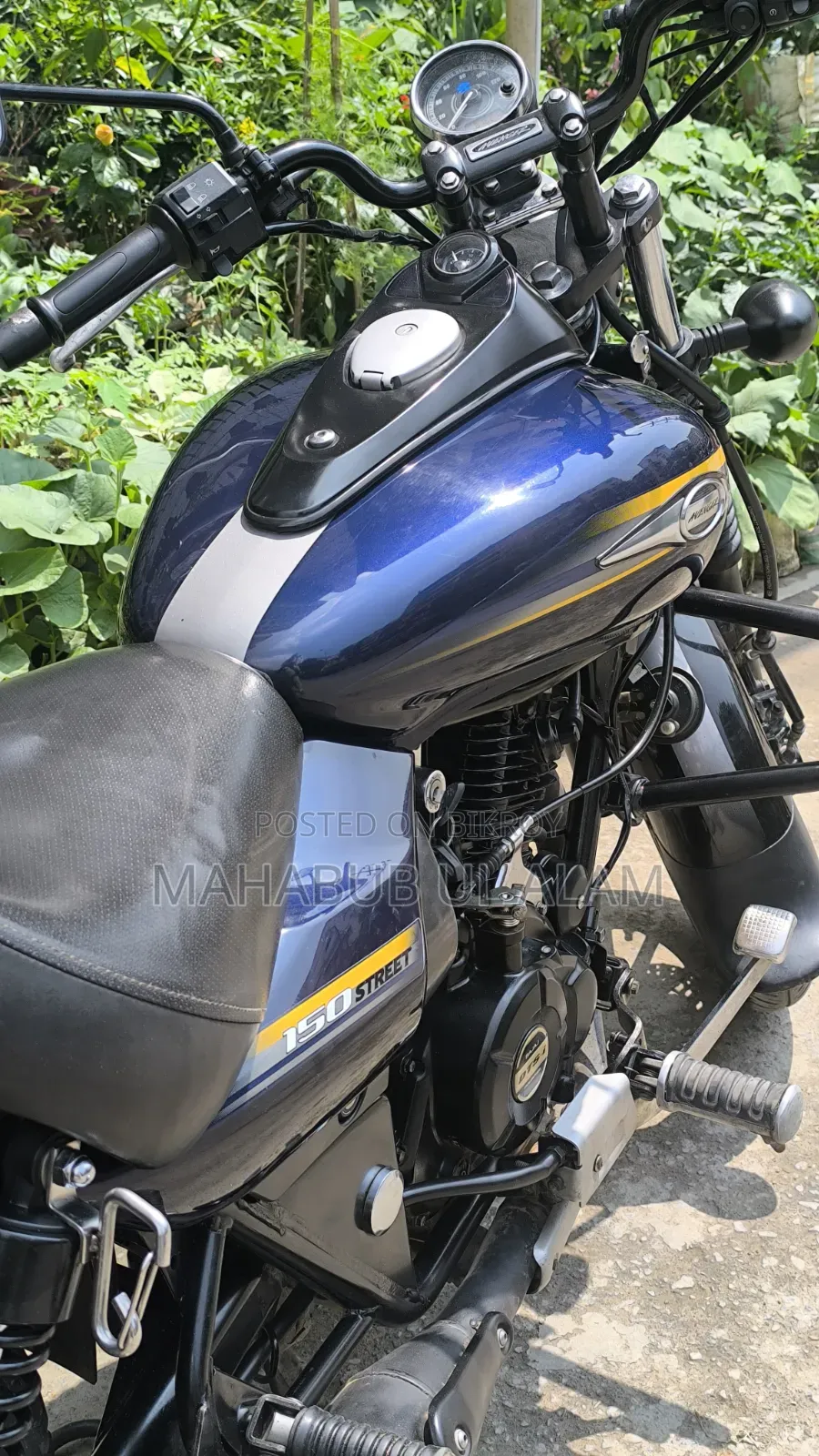 Bajaj Avenger 150 Street 2018 Blue