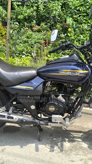 Bajaj Avenger 150 Street 2018 Blue