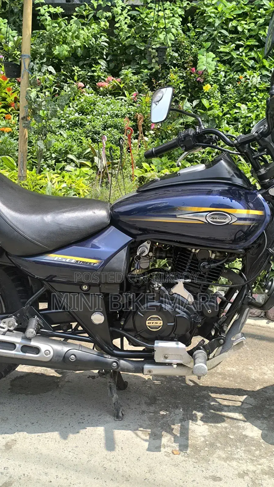 Bajaj Avenger 150 Street 2017 Blue