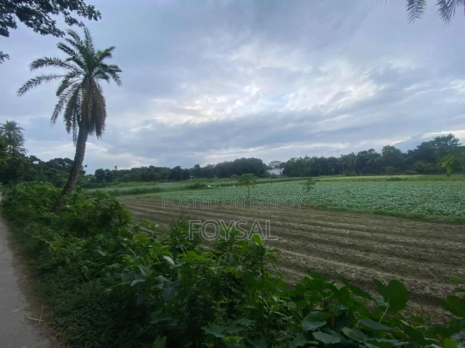 সিংগাইর, মানিকগঞ্জ বসবাসের জন্য বা ফ্যাক্টরী অথবা রিসোর্ট করার।