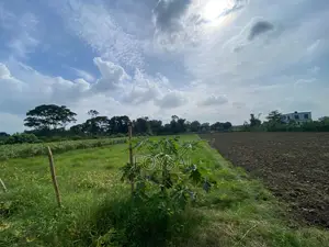 সিংগাইর, মানিকগঞ্জ বসবাসের জন্য বা ফ্যাক্টরী অথবা রিসোর্ট করার।