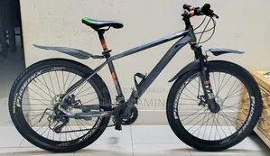 Phoenix 01 Sell Hobe