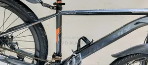 Phoenix 01 Sell Hobe