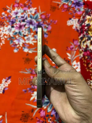 অ্যাপল আইফোন ১৩ প্রো ১২৮ জিবি গোল্ড