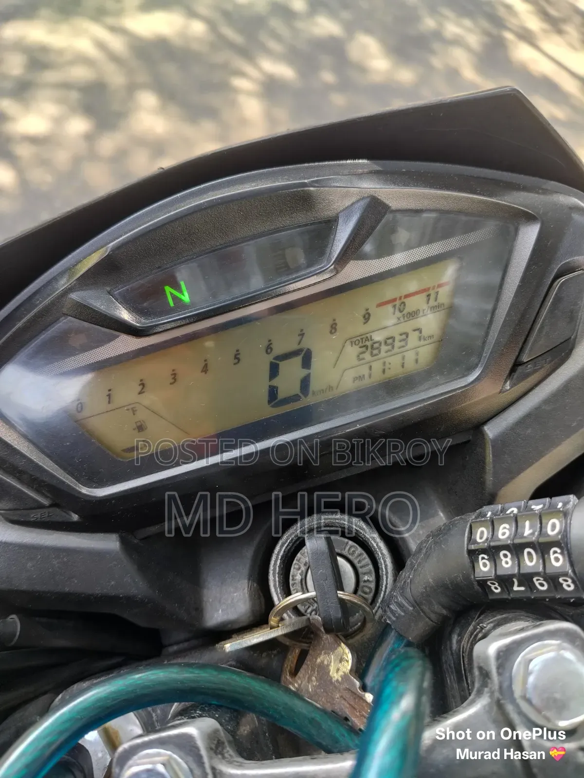 Honda Hornet 2019