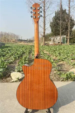Only 2 Days Used!!! Boult C-40 Pro Acoustic Guitar for sale.