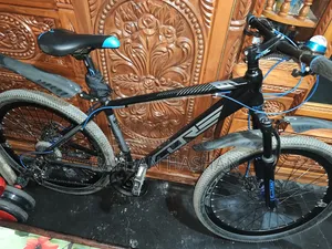 26 Inch Core Neo200 Bicycle