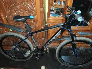 26 Inch Core Neo200 Bicycle