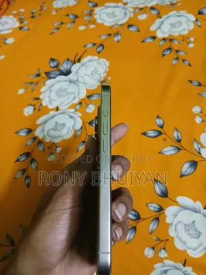 অ্যাপল আইফোন ১৬ প্রো ১২৮ জিবি সিলভার