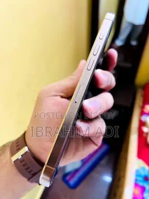 Apple iPhone 16 Pro Max 256 GB