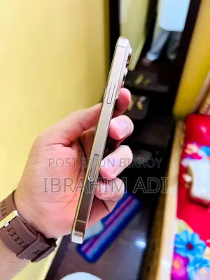 Apple iPhone 16 Pro Max 256 GB