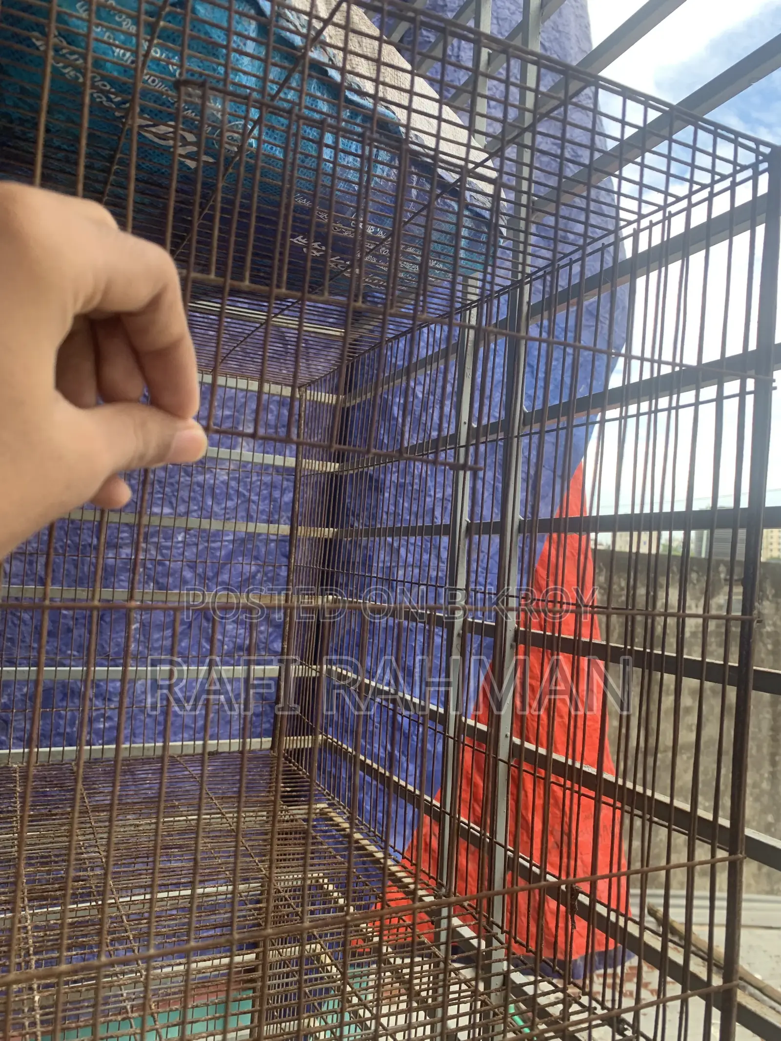 Bird Cage for Sale