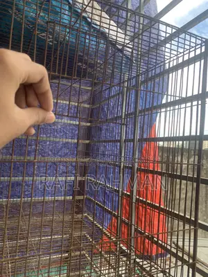 Bird Cage for Sale