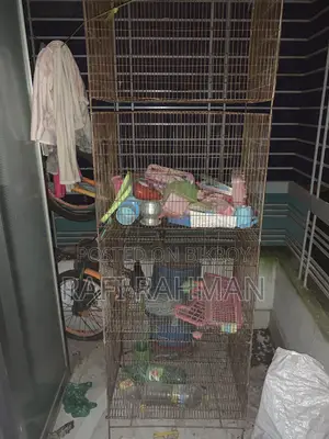Bird Cage for Sale