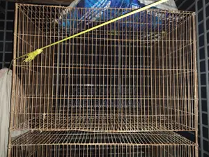 Bird Cage for Sale