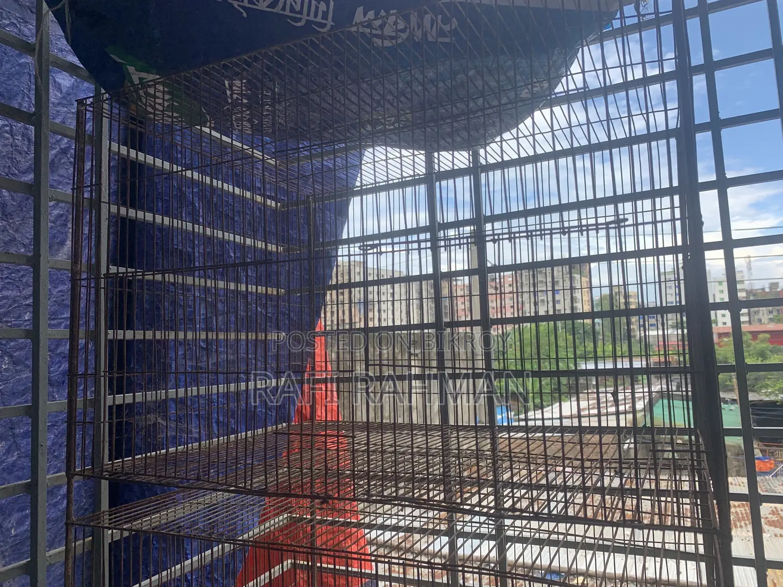 Bird Cage for Sale