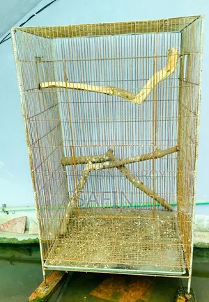 পাখির বড় খাচা