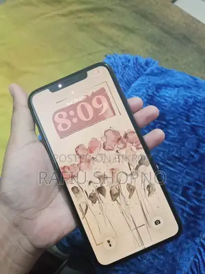 অ্যাপল আইফোন ১১ প্রো ম্যাক্স ২৫৬ জিবি ব্ল্যাক